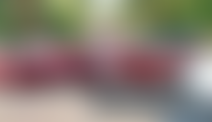 Obstaculizando entradas