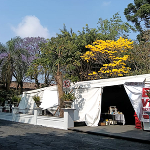 ÁRBOL DIFERENTE