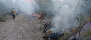 Bomberos y Protección Civil en alertaante riesgo de incendios forestales