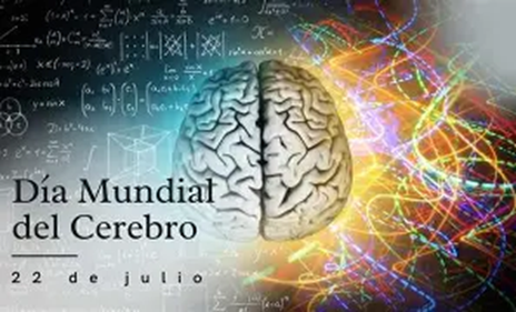 22 de julio: Día Mundial del Cerebro