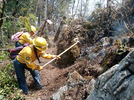 Época de incendios forestales en Veracruz