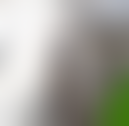 Denuncian alcantarilla en Mercado Rebolledo