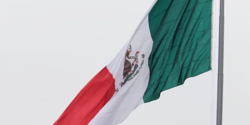 ES MI PIENSO