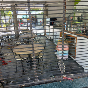 ASÍ SE ENCUENTRA EL KIOSKO