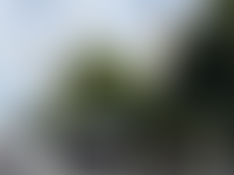 Fin a intermediarios en pabellones Pagos irán directo a Tesorería