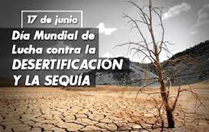 17 de junio.- Día Mundial de Lucha contra la Desertificación y la Sequía