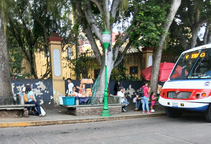 ¿USTED QUÉ OPINA?