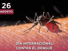 26 de agosto.- Día Internacional contra el Dengue