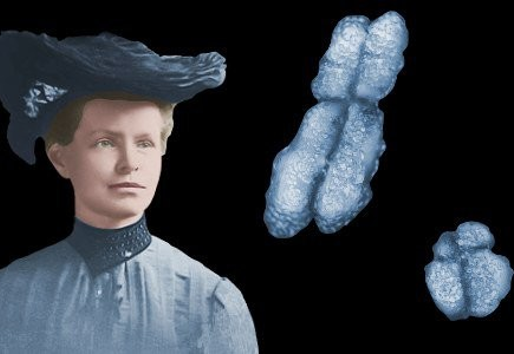 CON-CIENCIA