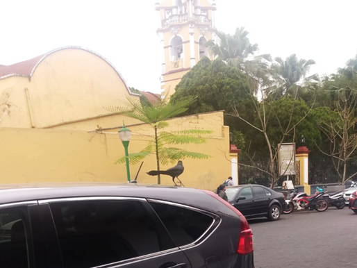 LA COTIDIANIDAD DE COATEPEC