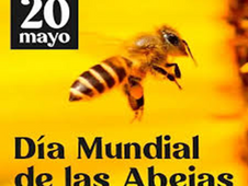 20 de mayo.- Día Mundial de las Abejas