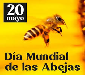 20 de mayo.- Día Mundial de las Abejas