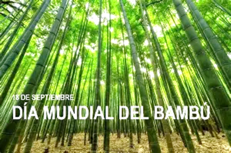 18 de septiembre: Día Mundial del Bambú