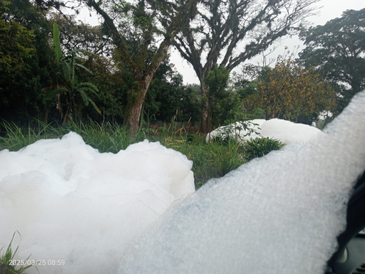 RÍO PINTORES CONTAMINADO