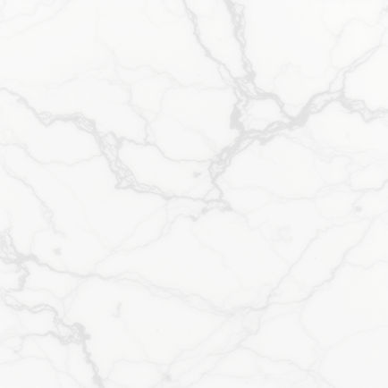 white marble background with grey marbling.jpg