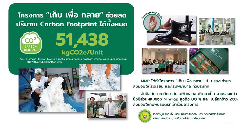Carbon Footprint (3).png