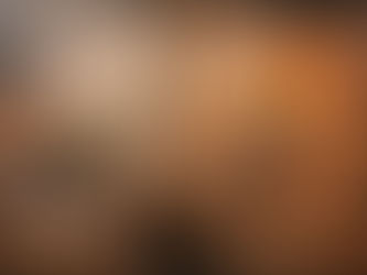 Twelve Months of Violence: Examining the Killings in Israel.