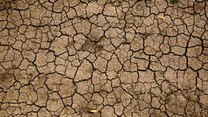 Thermal Resistivity and Soil Dryout