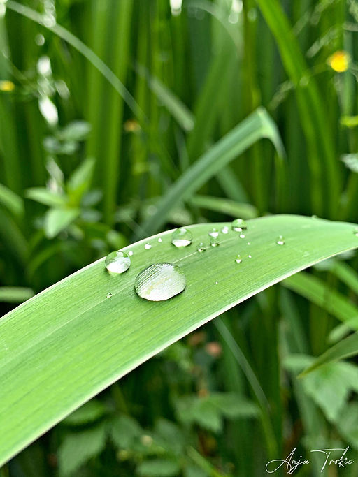 0A2314E5-9C98-4AA4-8228-2D1969265568.JPE