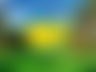 Elevating Golf Mastery: Excel and Tableau Strategies for Players like Tiger Woods, Akshay Bhatia, and Christo Lamprecht