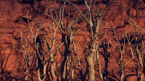 weather-ezgif.com-resize.gif