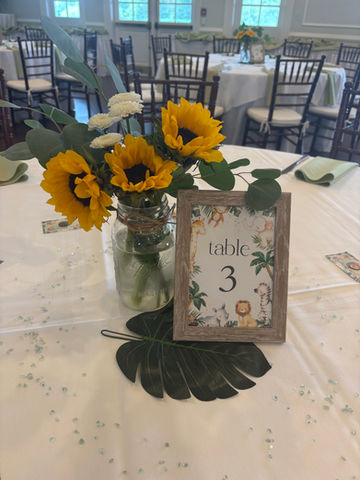 Baby Shower