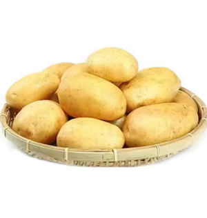 China-New-Harvest-2023-Yellow-Long-Fresh-Holland-Potato-in-Good-Price.jpg_300x300.jpg