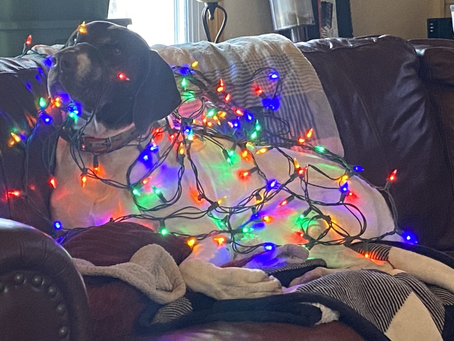 He’s so lit and ligit!