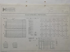 2-olfatometria hmb-4.jpg