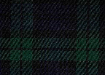 black watch close.jpg