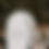 Thumbnail: Wedding Welcome Signs