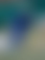 Dani Hernández, nuevo jugador del CD El Álamo