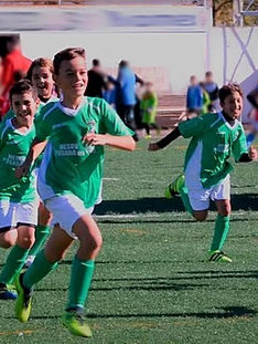 Renovaciones e inscripciones Temporada 2020/21