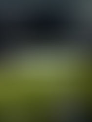 Situación Fútbol Base