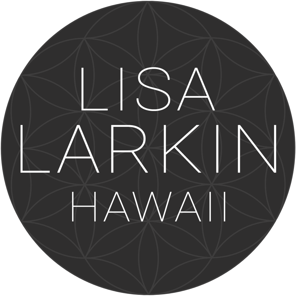 Lisa Larkin Hawaii