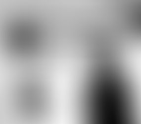 "..Famo l'amore..,..'n fate 'a guera.."