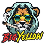 featuring a lion smoking a joint, symbolizing relaxation and a laid-back vibe.