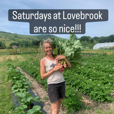 LOVEBRROK FARM 