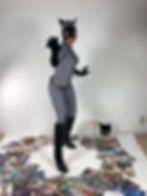 Animated Catwoman Costume