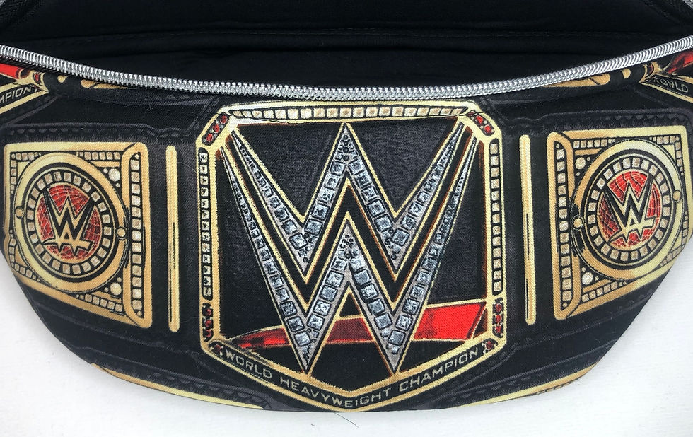 SiQ Original Wrestling BELT Fanny Pack Silver Zip