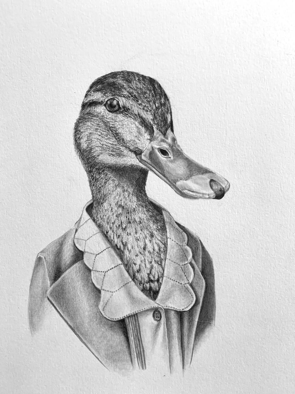 Dressed Pet Portrait 9" x 12"