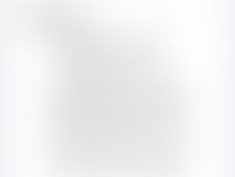 Reconocen a la Presidenta Castro, por defender los DDHH y las libertades fundamentales