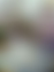 «Исследования В.К. Арсеньевым Дальнего Востока».