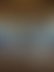 Hylomorphism in Political Theory: The Antinomy Between Inclusion/Exclusion