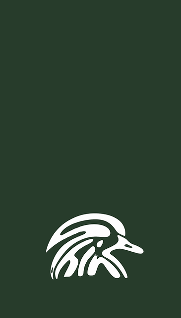 SWAMPSHINE OUTDOORS-.png