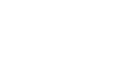 DUCKS FLYING-2.png