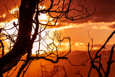 2020 Tathra Sunset.jpg