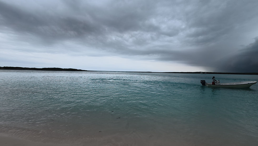 The Calm Before The Storm.JPEG