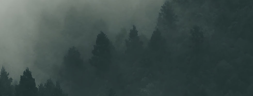phobos_wald.jpg