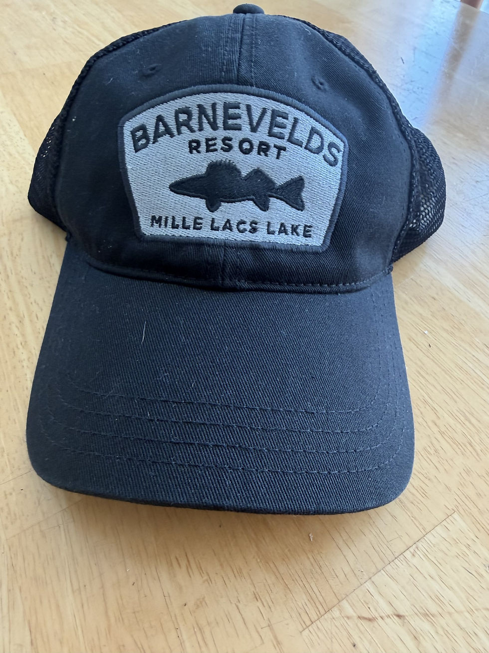 Thumbnail: Embroidered Logo Cap